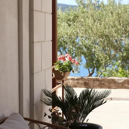 Bed & Breakfast Ancora